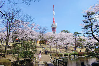 八幡山公園